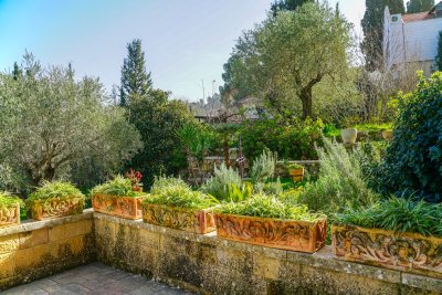 Zo leg je zelf een mediterrane tuin aan