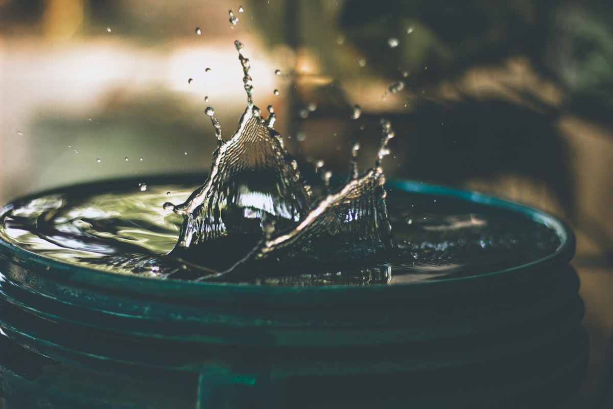 Meer uit regenwater halen is makkelijker dan je denkt