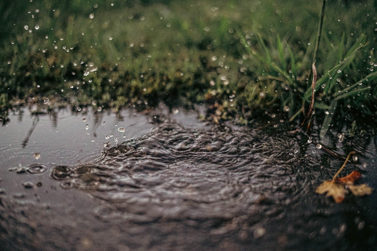 Staat er water in je tuin na een bui? Zo los je dat op